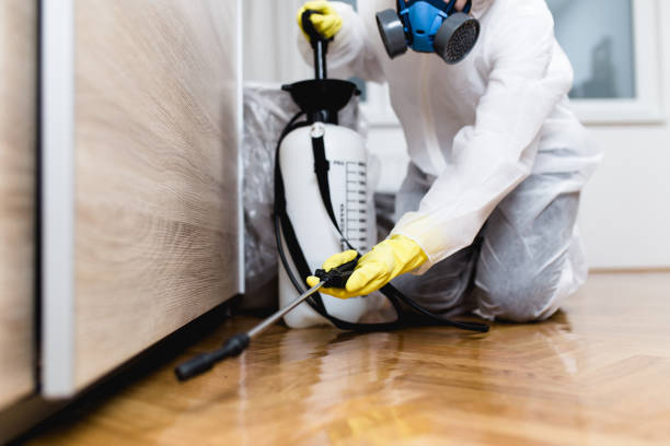 Best Rat Extermination Near Me  in North Puyallup, WA