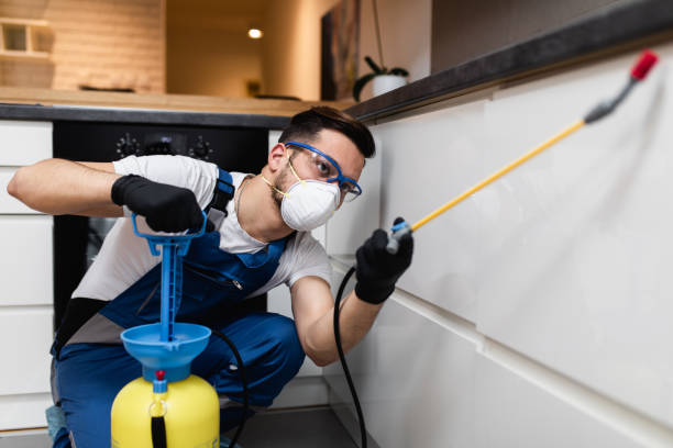 Best Pest Prevention Services  in North Puyallup, WA