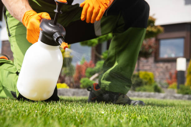 Best Bed Bug Extermination  in North Puyallup, WA
