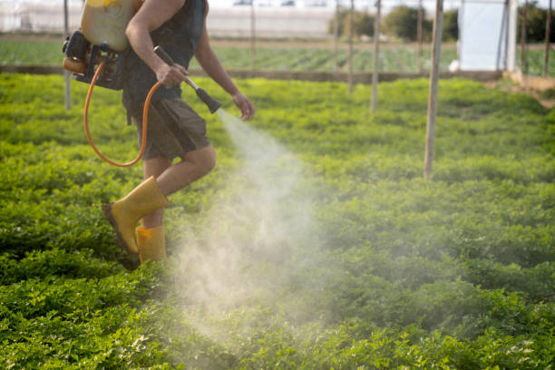 Best Pest Removal Services  in North Puyallup, WA