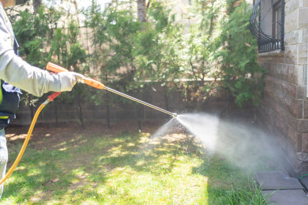 Best Local Pest Control Services  in North Puyallup, WA