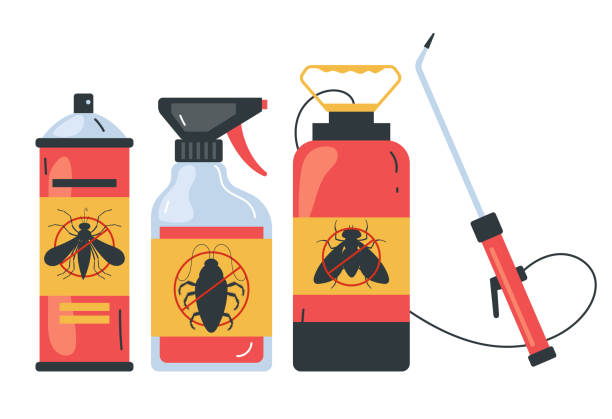 Best Wasp Removal Services  in North Puyallup, WA