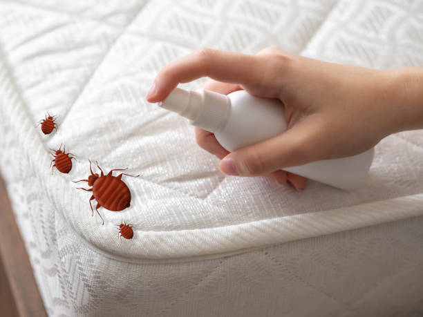Best Residential Pest Control  in North Puyallup, WA
