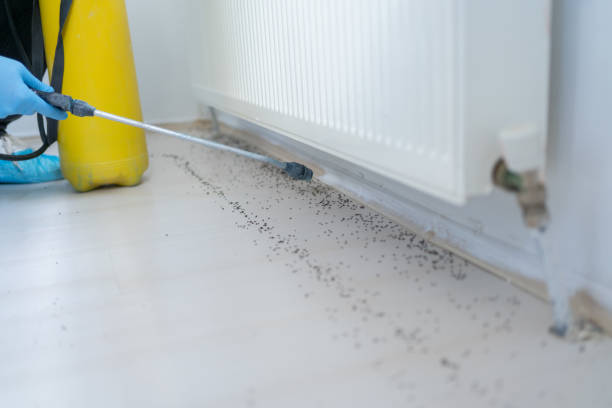 Best Affordable Pest Control Services  in North Puyallup, WA