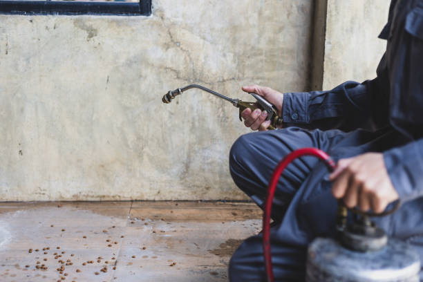 Best Exterminator Services  in North Puyallup, WA